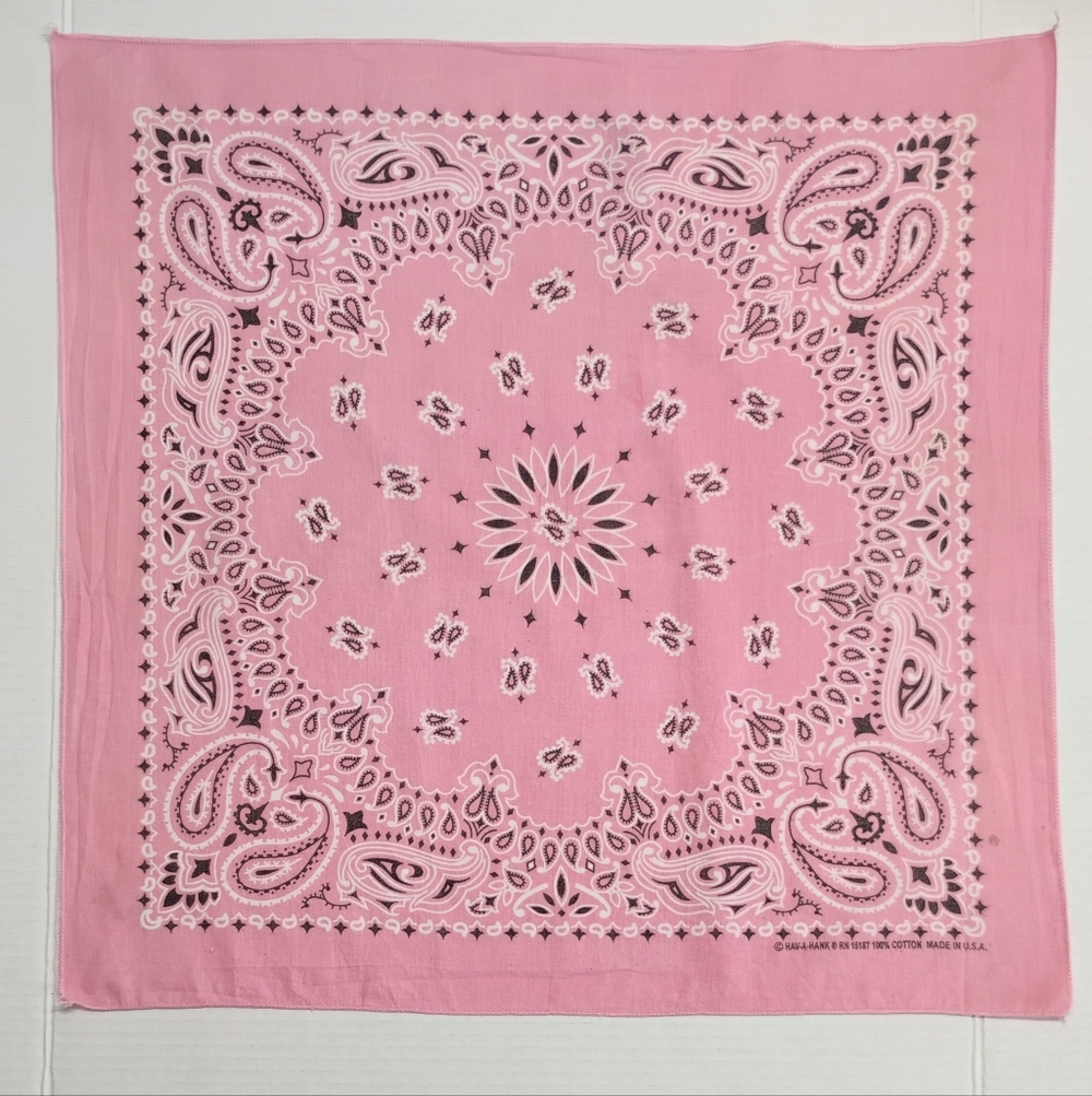 Vintage HAV-A-HANK Bandana Pink Paisley Square USA